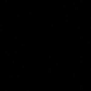 Meet your Posher, Ashton